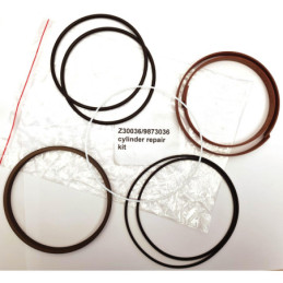 REPSATS CYLINDER S60-1H