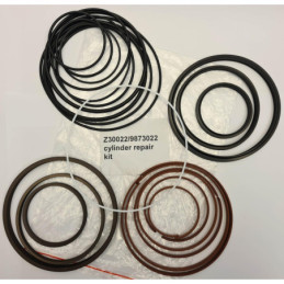 REPSATS CYLINDER S60-3JL